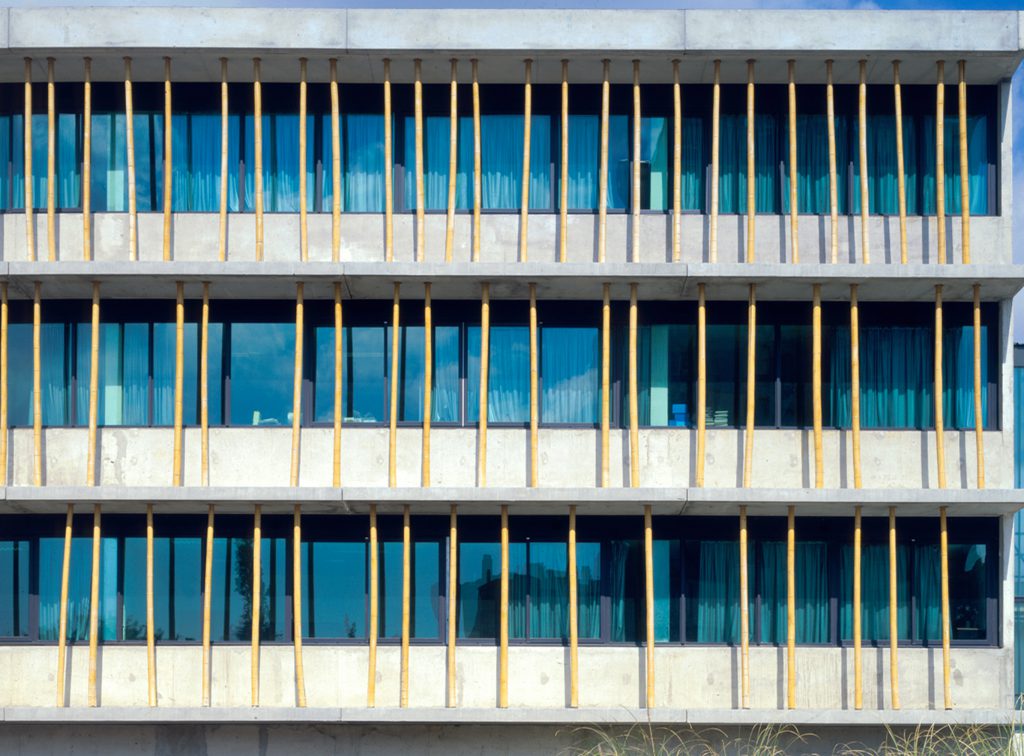 Collège Renoir Rostand 02 - Office Equipment - Caractère Spécial- Matthieu Poitevin Architecture